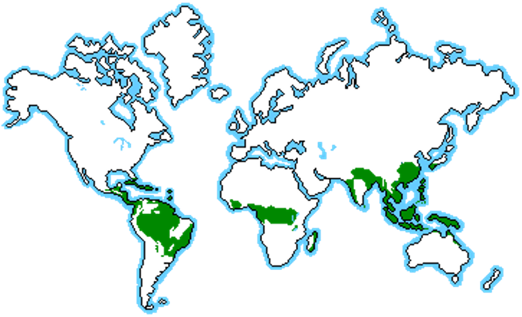 Locations of the tropical rainforest ecosystems on earth